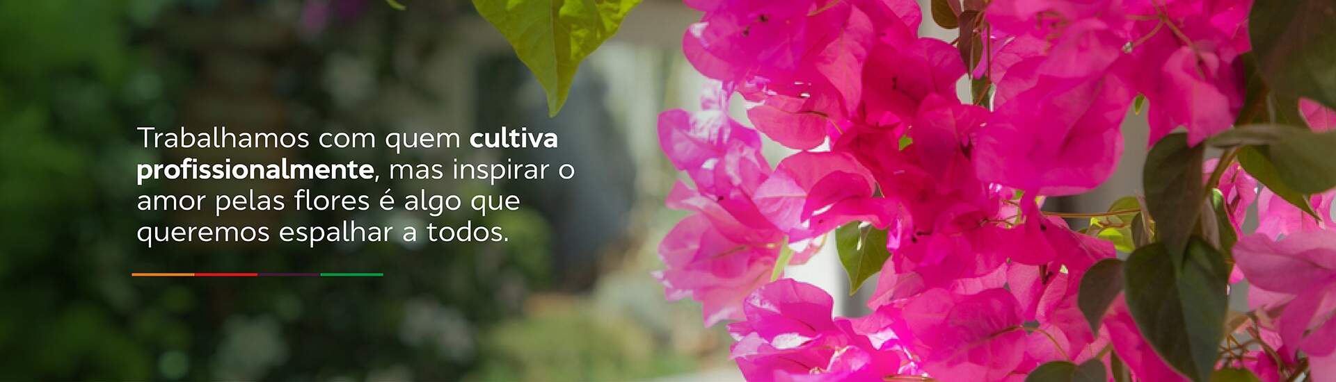 Banner_00